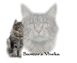 Santor's Viveka